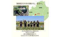 【農薬不使用】大川ニンニク部のにんにく味噌・にんにくオイルセット