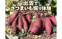 さつまいも堀り体験チケット