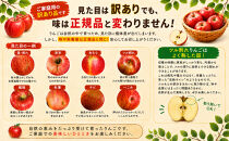 【2026年先行予約】長野市産&nbsp;サンふじ&nbsp;訳あり&nbsp;りんご&nbsp;5kg｜信州りんごの名産地からお届け｜家庭用・不揃い・傷ありでも甘さ抜群｜信州りんごの本場からお届け｜家庭用・規格外｜【2026年12月発送予定】