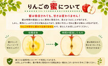 【2026年先行予約】長野市産&nbsp;サンふじ&nbsp;訳あり&nbsp;りんご&nbsp;5kg｜信州りんごの名産地からお届け｜家庭用・不揃い・傷ありでも甘さ抜群｜信州りんごの本場からお届け｜家庭用・規格外｜【2026年12月発送予定】