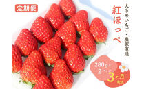 【2027年発送！3か月定期便】大きめいちご「紅ほっぺ」280g×2パック