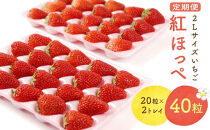 【2027年発送！3か月定期便】2Lサイズ&nbsp;静岡いちご「紅ほっぺ」40粒　総重量約600ｇ　【20粒（約300ｇ）×2トレイ】&nbsp;数量限定　人気　リピート多数