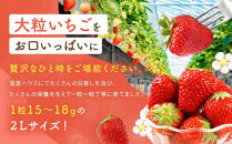 【2027年発送！3か月定期便】2Lサイズ&nbsp;静岡いちご「紅ほっぺ」40粒　総重量約600ｇ　【20粒（約300ｇ）×2トレイ】&nbsp;数量限定　人気　リピート多数