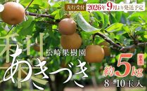 【訳あり梨&nbsp;2026年発送／先行予約】訳あり「あきづき」約5kg（8～10玉入）【松崎果樹園】｜訳あり&nbsp;梨&nbsp;ナシ&nbsp;こだわりの梨&nbsp;フルーツ&nbsp;果物&nbsp;旬の梨&nbsp;宮城県角田市&nbsp;約5kg