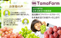 タマファーム　長野市産&nbsp;ナガノパープル&nbsp;粒パック&nbsp;ご家庭用&nbsp;1.2kg（300g×4パック）&nbsp;|&nbsp;ナガノパープル&nbsp;ぶどう&nbsp;葡萄&nbsp;フルーツ&nbsp;果物&nbsp;家庭用&nbsp;人気&nbsp;おすすめ&nbsp;タマファーム&nbsp;直送&nbsp;&nbsp;&nbsp;送料無料&nbsp;長野県&nbsp;長野市&nbsp;信州&nbsp;信濃&nbsp;ふるさと納税