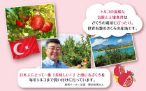 トルコ産ざくろの濃縮エキス150ml×3本　美容&nbsp;健康&nbsp;エラグ酸&nbsp;ざくろ　ザクロ　4倍希釈　