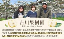 訳あり梨&nbsp;新高&nbsp;約5kg&nbsp;7～16玉&nbsp;2026年分先行予約&nbsp;10月中旬～順次発送&nbsp;吉川果樹園&nbsp;にいたか&nbsp;なし&nbsp;ナシ&nbsp;和梨&nbsp;大玉&nbsp;ジャンボ&nbsp;フルーツ&nbsp;果物&nbsp;旬の果物&nbsp;旬の味覚&nbsp;旬のフルーツ&nbsp;国産&nbsp;産地直送&nbsp;旬&nbsp;完熟&nbsp;高糖度&nbsp;甘さ&nbsp;酸味&nbsp;シャリ感&nbsp;ジューシー&nbsp;デザート&nbsp;数量限定&nbsp;季節限定