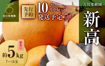 訳あり梨&nbsp;新高&nbsp;約5kg&nbsp;7～16玉&nbsp;2026年分先行予約&nbsp;10月中旬～順次発送&nbsp;吉川果樹園&nbsp;にいたか&nbsp;なし&nbsp;ナシ&nbsp;和梨&nbsp;大玉&nbsp;ジャンボ&nbsp;フルーツ&nbsp;果物&nbsp;旬の果物&nbsp;旬の味覚&nbsp;旬のフルーツ&nbsp;国産&nbsp;産地直送&nbsp;旬&nbsp;完熟&nbsp;高糖度&nbsp;甘さ&nbsp;酸味&nbsp;シャリ感&nbsp;ジューシー&nbsp;デザート&nbsp;数量限定&nbsp;季節限定