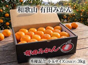 ［小玉サイズ（３Ｓ・２Ｓ）・秀／優混合］まる隆果樹園　和歌山有田産！早生みかん≪3kg≫［予約販売］