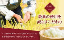 ◆チョイス限定◆令和8年産&nbsp;ななつぼし&nbsp;5kg×1袋&nbsp;5kg&nbsp;【&nbsp;&nbsp;特A&nbsp;北海道産&nbsp;白米&nbsp;精米&nbsp;ご飯&nbsp;ごはん&nbsp;米&nbsp;5kg&nbsp;お米&nbsp;ななつぼし&nbsp;&nbsp;旭川市ふるさと納税&nbsp;北海道ふるさと納税&nbsp;旭川市&nbsp;北海道&nbsp;】_05234