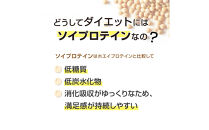 ソイプロテイン&nbsp;ティゴラ/900g/タンパク質含有量85％/ココア