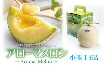 【通年出荷】アローマメロン(小玉)&nbsp;1玉入