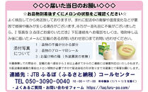 【訳あり】アローマメロン&nbsp;1玉入【通年出荷】