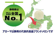 【訳あり】アローマメロン&nbsp;2玉入【通年出荷】