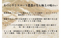 【定期便】【令和8年産新米予約】南魚沼産コシヒカリ無洗米（5kg×全12回）&nbsp;【2026年10月中旬より1ヶ月以内に順次発送予定】