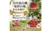 【2027年8月中旬〜発送　先行予約】川中島産&nbsp;川中島白桃&nbsp;2kg