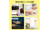 アルカリ電池　単３×１０P×３セット　LR6-AD30P