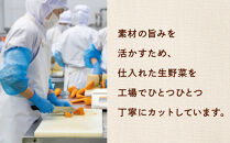 国産具材のごろっとおかずスープ150g×10袋
