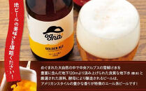 南信州ビール「Ogna」12本セット