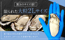 広島県産冷凍スチーム牡蠣&nbsp;2L&nbsp;約1kg【かき&nbsp;冷凍カキ&nbsp;大粒&nbsp;むき身&nbsp;広島かき&nbsp;魚介&nbsp;アヒージョ&nbsp;クラムチャウダー&nbsp;かき&nbsp;貝&nbsp;大きい&nbsp;冷凍&nbsp;便利&nbsp;人気&nbsp;おすすめ&nbsp;広島&nbsp;尾道】