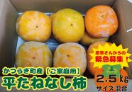 たねなし柿　ご家庭用（傷有り）約2.5kg【2024年10月上旬から2024年11月上旬頃順次発送】