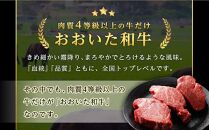 【訳あり】【おおいた和牛】ヒレステーキ 約450g（約150ｇ×3枚）｜肉質4等級以上 国産和牛