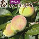 ＜6月発送＞厳選 紀州南高梅(青梅)5kg+150g（傷み補償分）