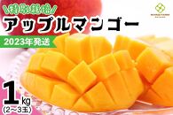 【2023年発送】特別栽培アップルマンゴー1kg
