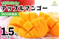 【2023年発送】特別栽培アップルマンゴー1.5kg