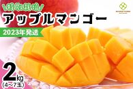 【2023年発送】特別栽培アップルマンゴー2kg