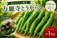 【先行予約・2026年7月発送】万願寺とうがらし（京野菜）1kg（目安30～35本）&nbsp;|京都&nbsp;野菜&nbsp;人気セット［&nbsp;京都&nbsp;野菜&nbsp;万願寺&nbsp;とうがらし&nbsp;ご当地&nbsp;人気&nbsp;おすすめ&nbsp;定番&nbsp;セット&nbsp;おいしい&nbsp;ご自宅用&nbsp;お取り寄せ&nbsp;通販&nbsp;送料無料&nbsp;ふるさと納税&nbsp;］