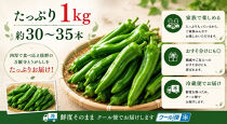 【先行予約・2026年7月発送】万願寺とうがらし（京野菜）1kg（目安30～35本）&nbsp;|京都&nbsp;野菜&nbsp;人気セット［&nbsp;京都&nbsp;野菜&nbsp;万願寺&nbsp;とうがらし&nbsp;ご当地&nbsp;人気&nbsp;おすすめ&nbsp;定番&nbsp;セット&nbsp;おいしい&nbsp;ご自宅用&nbsp;お取り寄せ&nbsp;通販&nbsp;送料無料&nbsp;ふるさと納税&nbsp;］