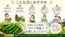 【先行予約・2026年7月発送】万願寺とうがらし（京野菜）1kg（目安30～35本）&nbsp;|京都&nbsp;野菜&nbsp;人気セット［&nbsp;京都&nbsp;野菜&nbsp;万願寺&nbsp;とうがらし&nbsp;ご当地&nbsp;人気&nbsp;おすすめ&nbsp;定番&nbsp;セット&nbsp;おいしい&nbsp;ご自宅用&nbsp;お取り寄せ&nbsp;通販&nbsp;送料無料&nbsp;ふるさと納税&nbsp;］