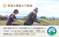 【令和6年産 新米】《定期便》5kg×3回 15kg 特別栽培米 ミルキークイーン 玄米 低農薬 《食味値85点以上！こだわり玄米》 / 福井県 あわら 北陸 米 お米 人気