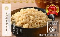 【令和6年産 新米】《定期便》5kg×6回 30kg 特別栽培米 ミルキークイーン 玄米 低農薬《食味値85点以上！こだわり無洗米》 / 福井県 あわら市 北陸 米 お米 人気