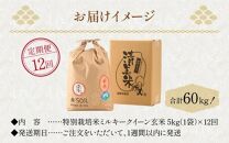 【令和6年産 新米】《定期便》5kg×12回 60kg 特別栽培米 ミルキークイーン 玄米 低農薬《食味値85点以上！こだわり玄米》 / 福井県 あわら市 北陸 米 お米 人気