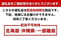 厳選旬の柑橘詰合せ2kg+60g（傷み補償分）＜1月より発送＞