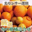 ＜4月より発送＞厳選旬の柑橘詰合せ5kg+150g（傷み補償分）【有田の春みかん詰め合わせ・フルーツ詰め合せ・オレンジつめあわせ】【光センサー選別】