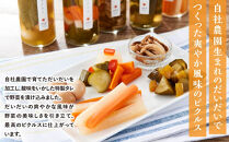 だいだい農家が作った 伊豆ピクルス５本セット ｜ 熱海市 伊豆野菜 加工食品 ピクルス 瓶詰め 酢漬け 彩り野菜 ヘルシー 保存食 人気 おすすめ 野菜 酢 酢漬け料理 おしゃれ ギフト プレゼント お取り寄せ 通販 送料無料 ふるさと納税