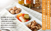 だいだい農家が作った  伊豆ピクルス３本セット ｜ 熱海市 伊豆野菜 加工食品 ピクルス 瓶詰め 酢漬け 彩り野菜 ヘルシー 保存食 人気 おすすめ 野菜 酢 酢漬け料理 おしゃれ ギフト プレゼント お取り寄せ 通販 送料無料 ふるさと納税