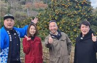 だいだい農家が作った  伊豆ピクルス３本セット ｜ 熱海市 伊豆野菜 加工食品 ピクルス 瓶詰め 酢漬け 彩り野菜 ヘルシー 保存食 人気 おすすめ 野菜 酢 酢漬け料理 おしゃれ ギフト プレゼント お取り寄せ 通販 送料無料 ふるさと納税