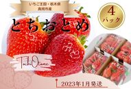 【2023年1月発送開始】栃木県真岡市産とちおとめ　いちご　苺