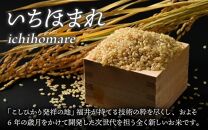 【令和5年産】いちほまれ 玄米 5kg×1袋《新鮮な高品質米をお届け！》／ 福井県産 ブランド米 ご飯