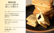 【甘党茶屋京梅園】みたらしバターサンド15個入り［&nbsp;京都&nbsp;お菓子&nbsp;和菓子&nbsp;スイーツ&nbsp;人気&nbsp;おすすめ&nbsp;おいしい&nbsp;ギフト&nbsp;お取り寄せ&nbsp;通販&nbsp;送料無料&nbsp;ふるさと納税&nbsp;］