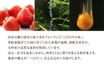 ＼年内発送／【お菓子の菊家】ゆふいん創作菓子 ぷりんどら 5個・ぷりんバーム 1個 詰め合わせ | スイーツ お菓子 プリン どら焼き バームクーヘン お取り寄せ おかし お土産 詰め合わせ 人気 おすすめ 洋菓子 湯布院 由布院 大分県 由布市 AT010