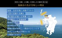博多名物&nbsp;ごま鯖&nbsp;400g&nbsp;(100ｇ×4個)&nbsp;|&nbsp;天然真鯖&nbsp;ワンフローズン&nbsp;長浜市場水揚げ&nbsp;個包装&nbsp;冷凍食品&nbsp;ごまさば&nbsp;九州グルメ&nbsp;郷土料理&nbsp;つまみ&nbsp;おつまみ&nbsp;博多グルメ&nbsp;ご当地&nbsp;お取り寄せグルメ&nbsp;人気&nbsp;おすすめ&nbsp;送料無料&nbsp;食品&nbsp;福岡県&nbsp;福岡市