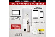 電源タップ　耐雷サージ　USBポート付き　USB×2ポート　2個口　3.4A　UA-223SB　