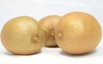 【数量限定】キウイフルーツの新品種「東京ゴールドキウイ」約2kg（サイズ混合）★2024年11月頃より順次発送【TM57】