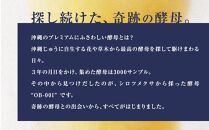 〈オリオンビール社より発送〉オリオン ザ・プレミアム（350ml×24本）【ビール おすすめ 人気ビール 沖縄 ビールセット オリオン ビール 沖縄県 豊見城市 AL036】