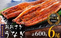 数量限定 鹿児島県産うなぎ長蒲焼6尾 約100g×6尾 鰻 国産うなぎ蒲焼き たれ うな重 ひつまぶし ウナギ 蒲焼 人気 おすすめ 鹿児島県 大崎町 A920